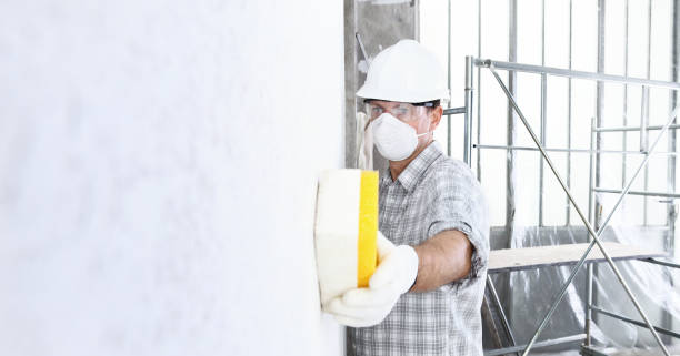 Mold Odor Removal Services in Huguley, AL